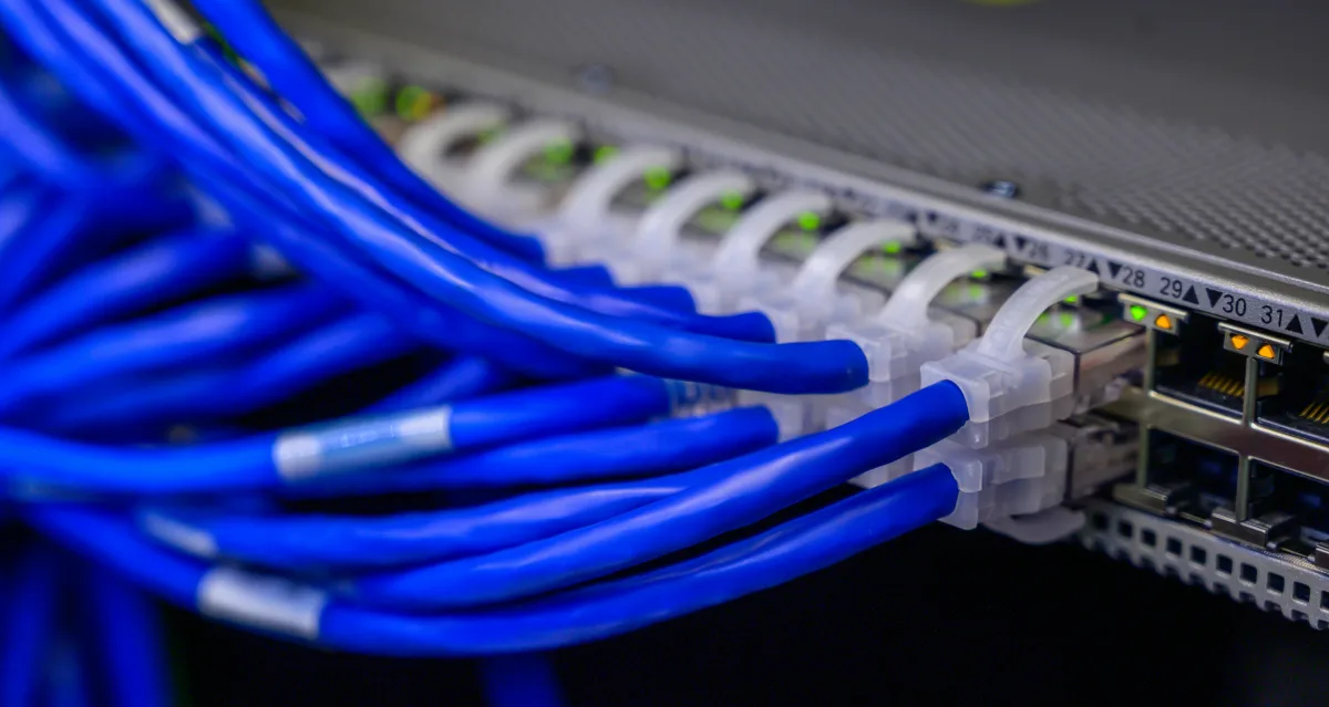 Network cables connected to a switch