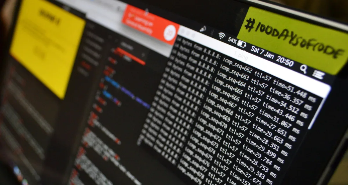 Network cables connected to a switch